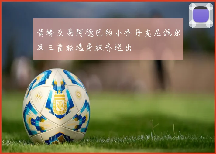 黄蜂交易阿德巴约小乔丹克尼佩尔及三首轮选秀权齐送出